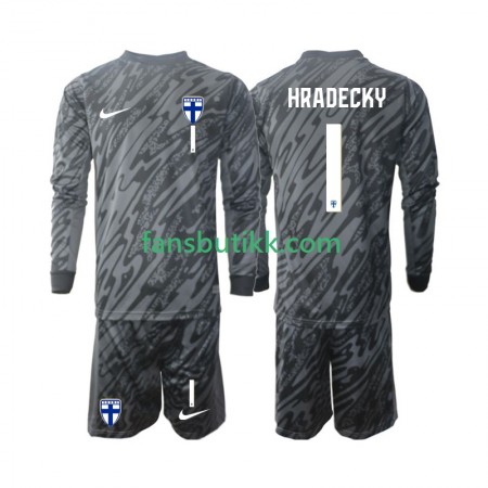 Fotballdrakt Finland HRADECKY 1 Keeper Barn Hjemmetrøye 2024 Langermet